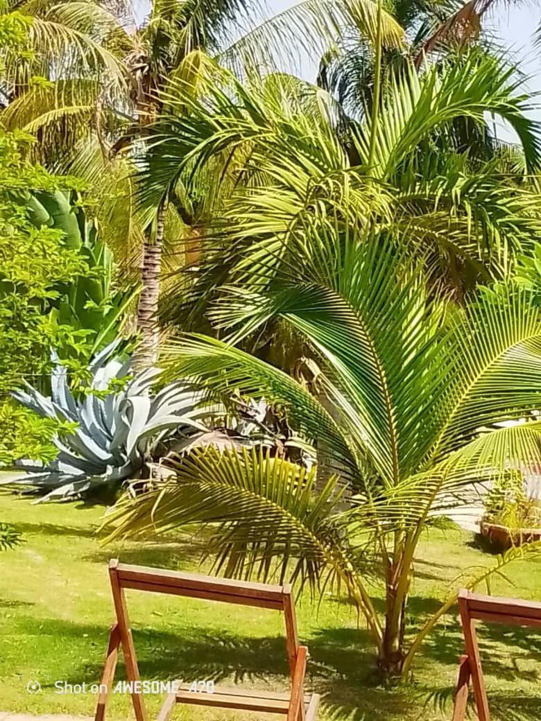 Chambre D'Hote Les Vacanciers Nianing Exteriör bild