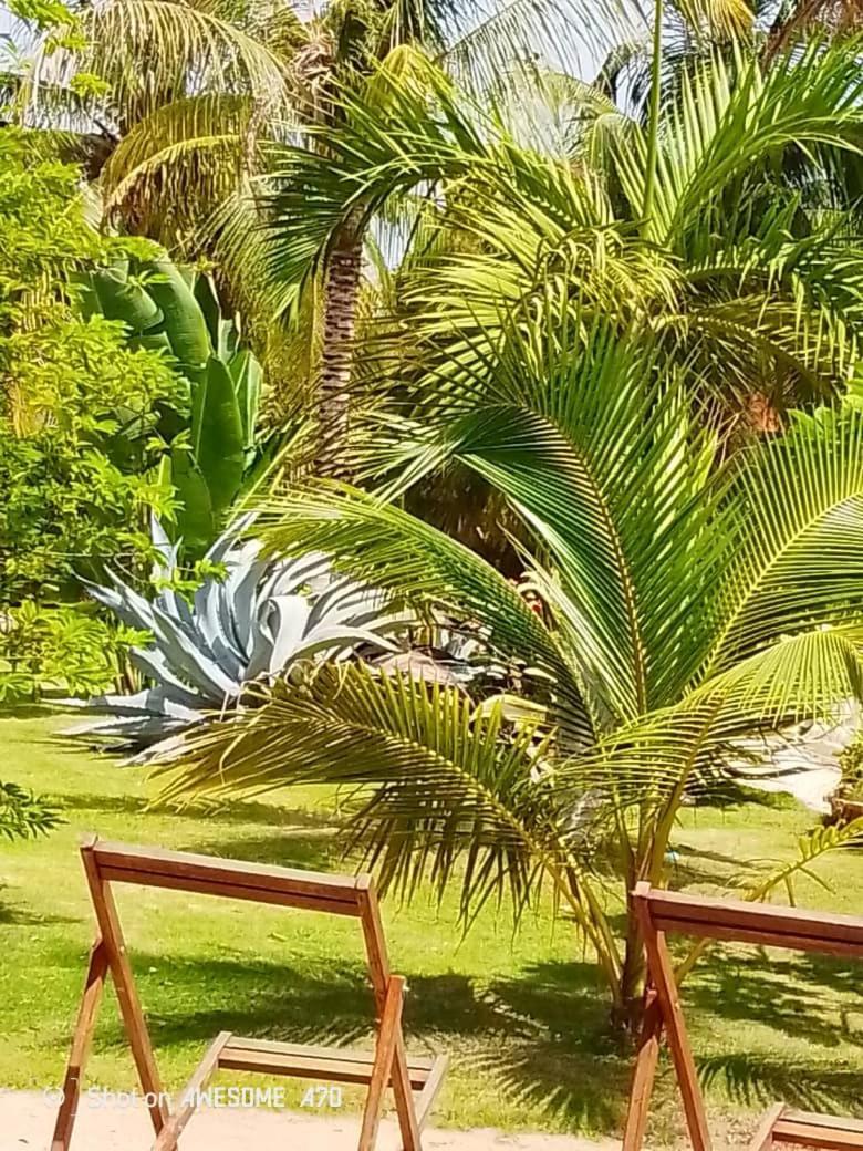 Chambre D'Hote Les Vacanciers Nianing Exteriör bild
